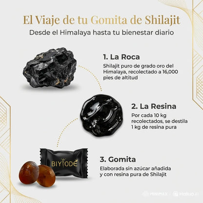 Gomitas de Shilajit y Ashwagandha – Más Potencia, Más Resistencia