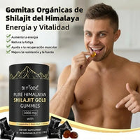 Gomitas de Shilajit y Ashwagandha – Más Potencia, Más Resistencia